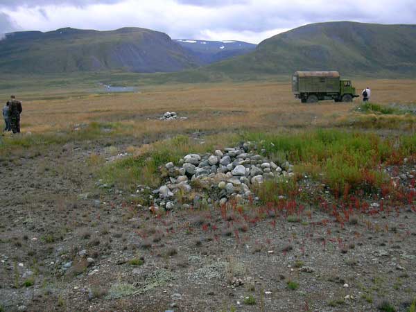 Ноён уулын орчимд алт олборловол 380 төрөл, зүйлийн  эмийн ургамал сүйрнэ 