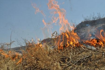 Хоёр аймагт гарсан түймрийг унтраажээ 