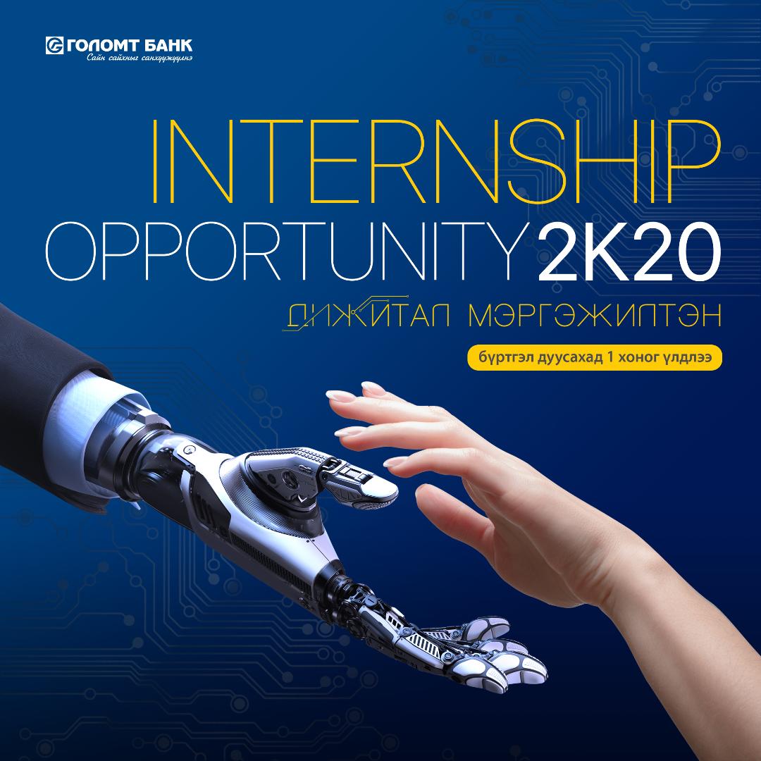 Дижитал мэргэжилтэн бэлтгэх “Internship Opportunity 2K20” хөтөлбөр