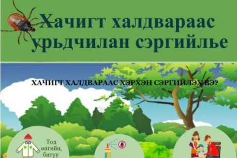 Сэрэмжлүүлэг: Хачгаар дамжин халдварладаг 30 гаруй халдвар байдаг