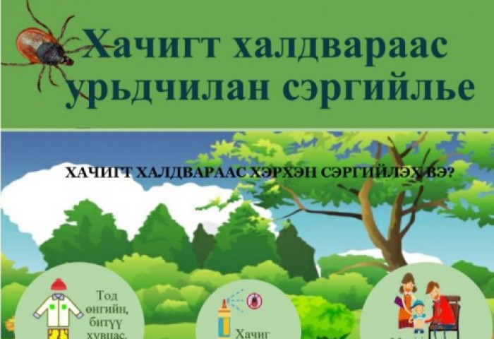 Сэрэмжлүүлэг: Хачгаар дамжин халдварладаг 30 гаруй халдвар байдаг