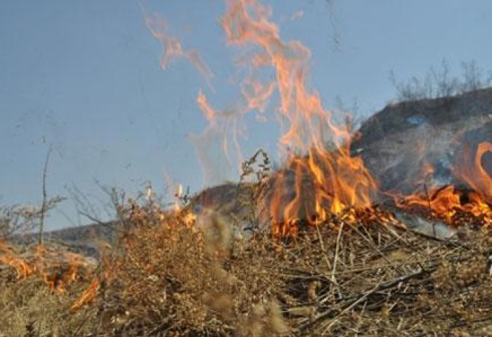 Хоёр аймагт гарсан түймрийг унтраажээ 