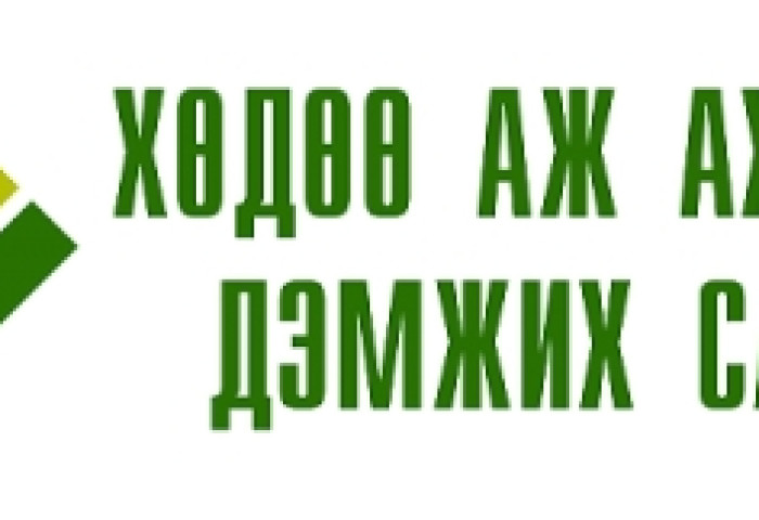 Н.Төмөрхүүгийн эзгүйд дэд дарга нар нь архидаж, зодолджээ