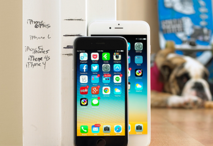 Iphone6 plus- ийн ард мод барьж бэхэлбэл илүү бөх болно